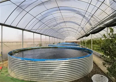 High Density Aquaculture - Irrigation Water Tank